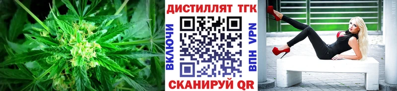 где купить наркоту  Полярные Зори  ТГК THC oil 